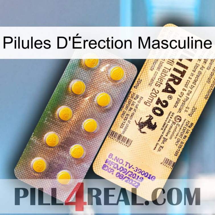 Male Erection Pills new06